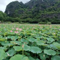 Ninh Binh Private One Day Tour From Hanoi